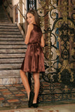 Chocolate Brown Charmeuse Sleeveless Skater Fancy Spring Dress - Girls - Pineapple Clothing