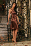 Chocolate Brown Sleeveless Chic Skater Fit Flare Mother Daughter Dress