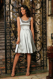 Silver Grey Sleeveless Skater Fit & Flare Party Mother Daughter Dress