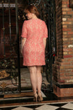 Dusty Pink Lace Elbow Sleeve Chic Party Shift Dress - Women Plus Size - Pineapple Clothing